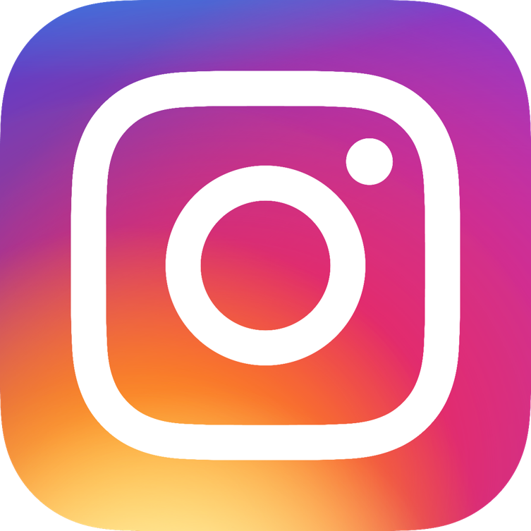 &Iacute;cone Instagram